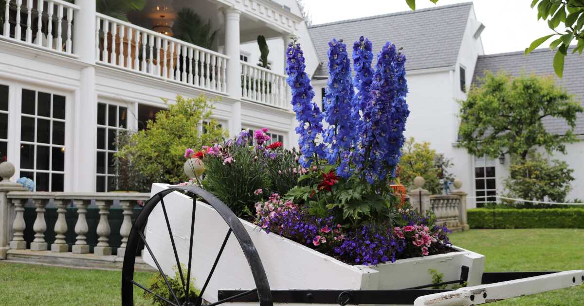 La exhibición de diseño de interiores de Pasadena continúa, a pesar de la lluvia épica durante la prisa por prepararse