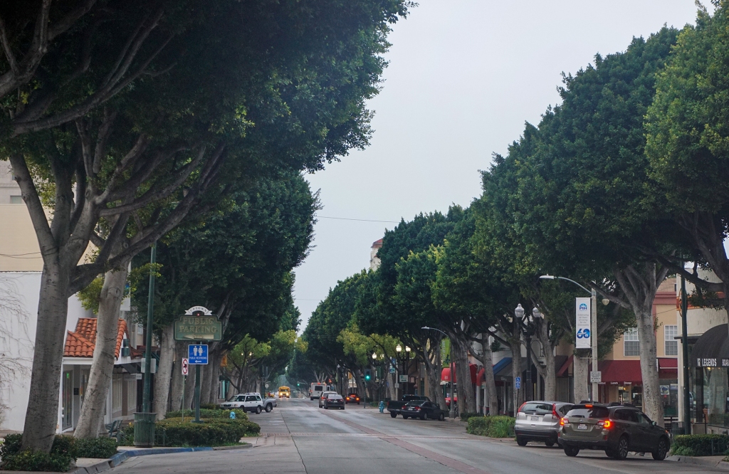 La sostenibilidad es importante cuando se trata de mantener los árboles de Whittier - Whittier Daily News
